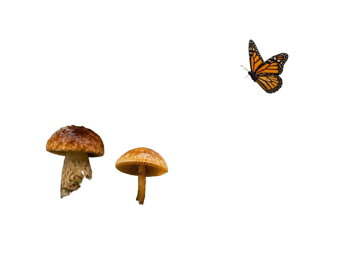 Photoshop AI background removal result showing only 3 of 13 original objects retained